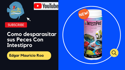 Nuevo Video Sobre como Utilizar los medicamentos Adecuadamente - Discus Roa Fish
