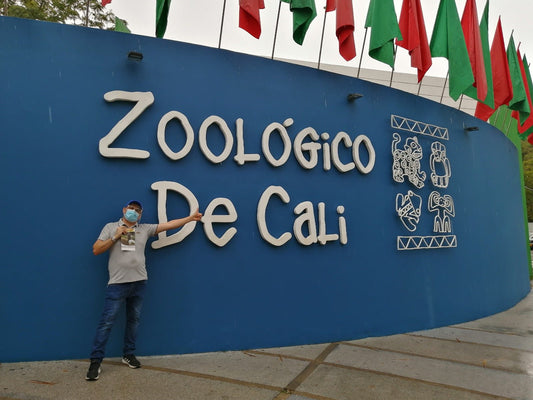 Nuevos Integrantes del Zoologico de Cali - Discus Roa Fish