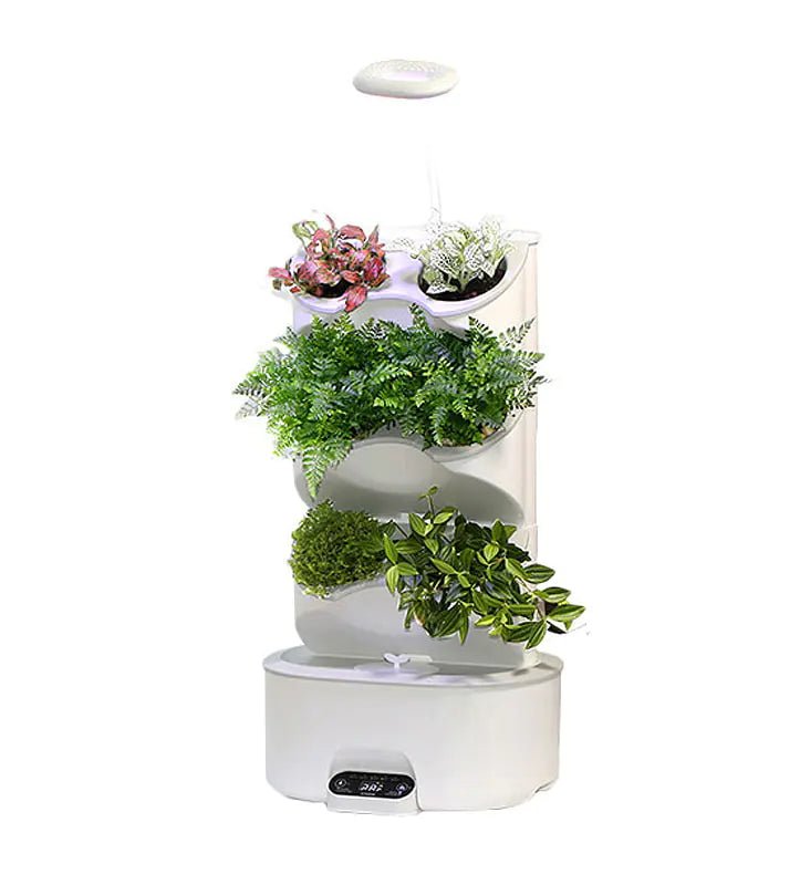 Accesorios - Discus Roa Fish