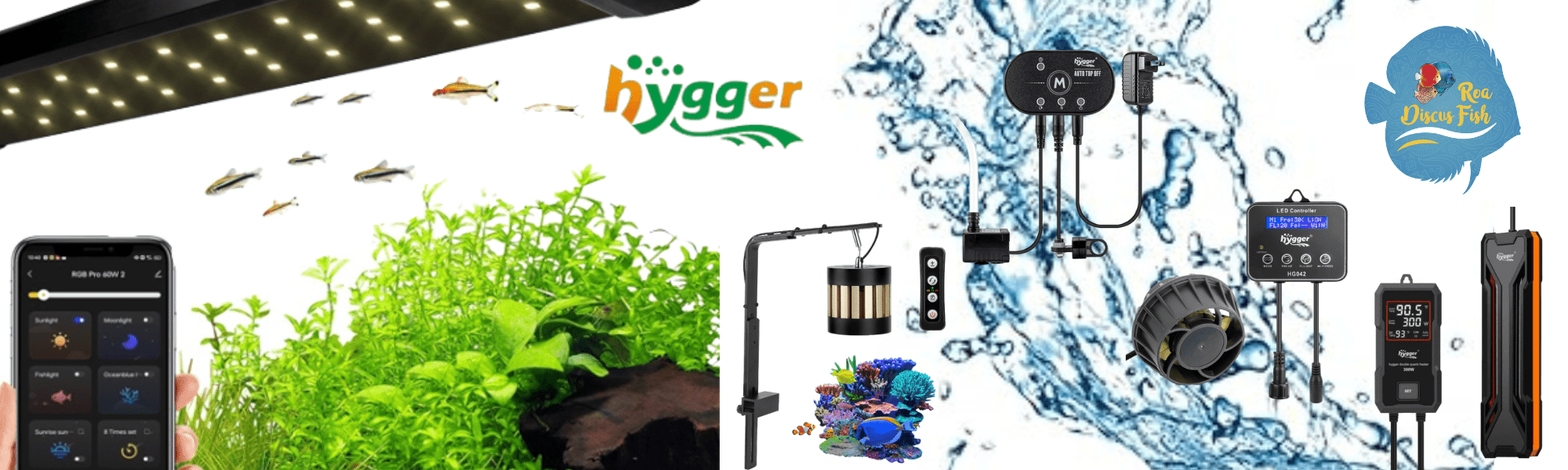 HYGGER - Discus Roa Fish