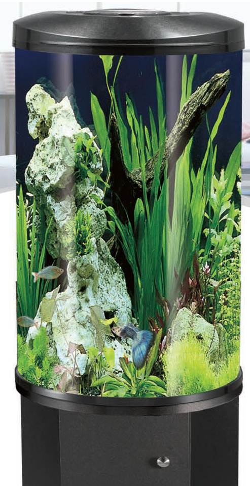 Acuario Sea Star BY-580H 90 Litros Semicircular con Filtro Interno y Luz LED