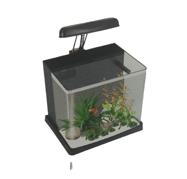 ACUARIO IMPORTADO BOYU ME - 300 - Discus Roa Fish
