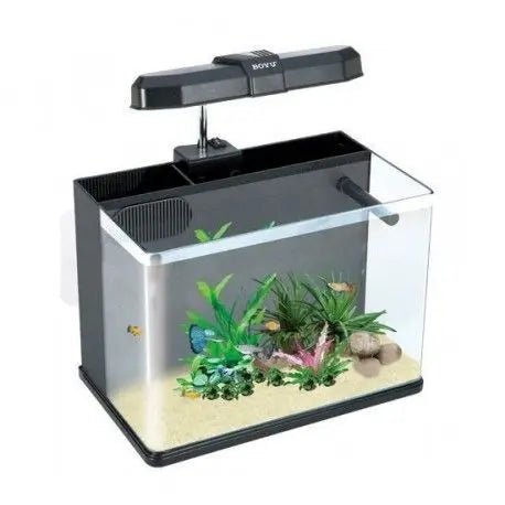 ACUARIO IMPORTADO BOYU ME - 300 - Discus Roa Fish