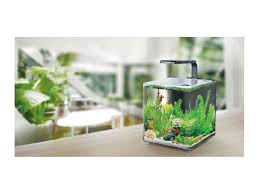 ACUARIO IMPORTADO RESUM AC08 AQUACLEAR DESKTOP TANK - Discus Roa Fish