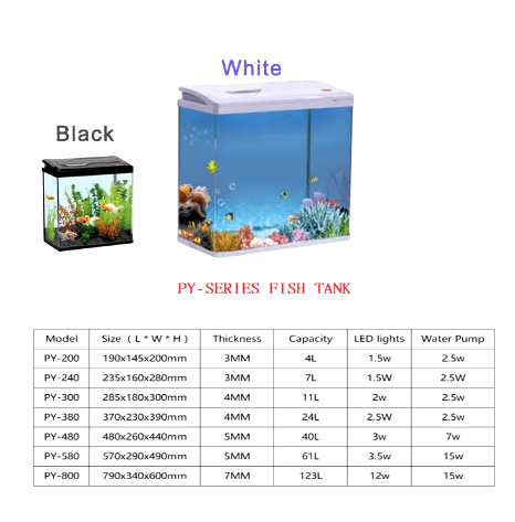 ACUARIO IMPORTADOS XINXIU - Discus Roa Fish