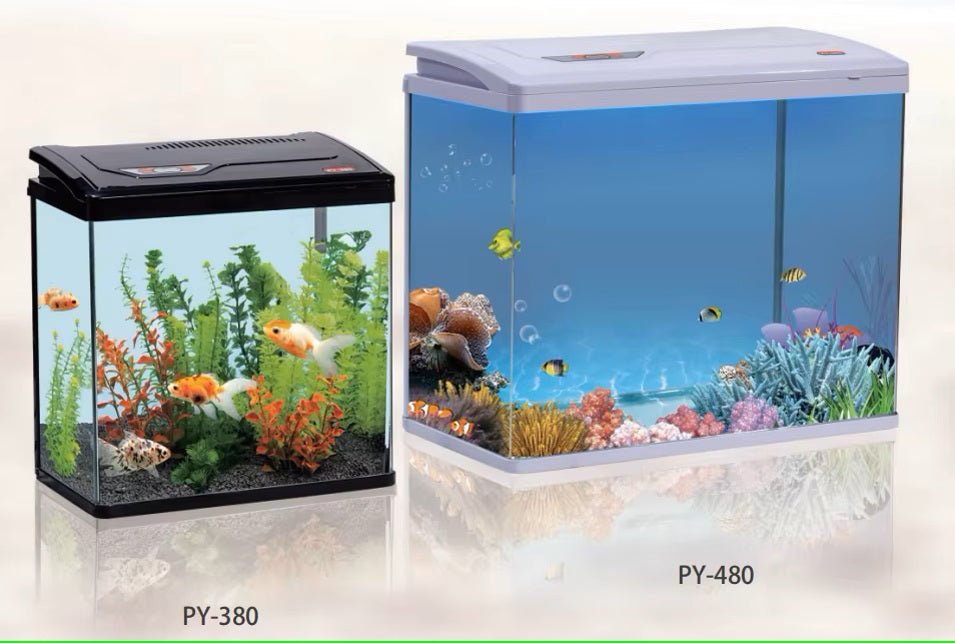 ACUARIO IMPORTADOS XINXIU - Discus Roa Fish