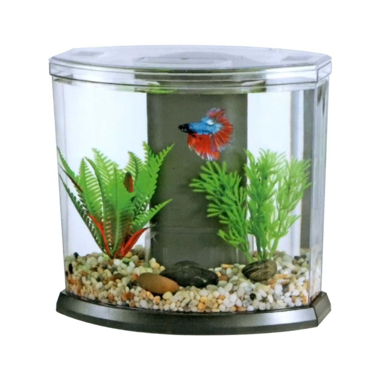 Acuarios BOYU DY Acuarios de Escritorio para Bettas - Discus Roa Fish