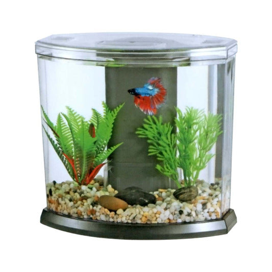 Acuarios BOYU DY Acuarios de Escritorio para Bettas - Discus Roa Fish