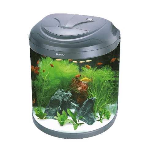 Acuarios BOYU Serie BYG con Iluminación LED - Discus Roa Fish