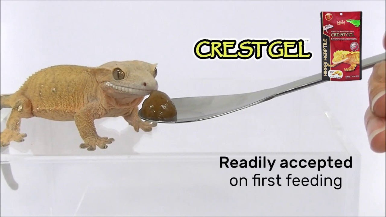 Alimento Premium Hikari CrestGel™ para Geckos Crestados y Reptiles Frugívoros - Discus Roa Fish