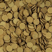 Sera Axolotl Wafers Alimentos Ajolotes