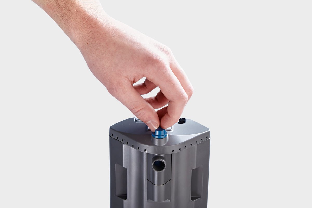 Filtro Interno Oase Bioplus - Bioplu Thermo - Discus Roa Fish