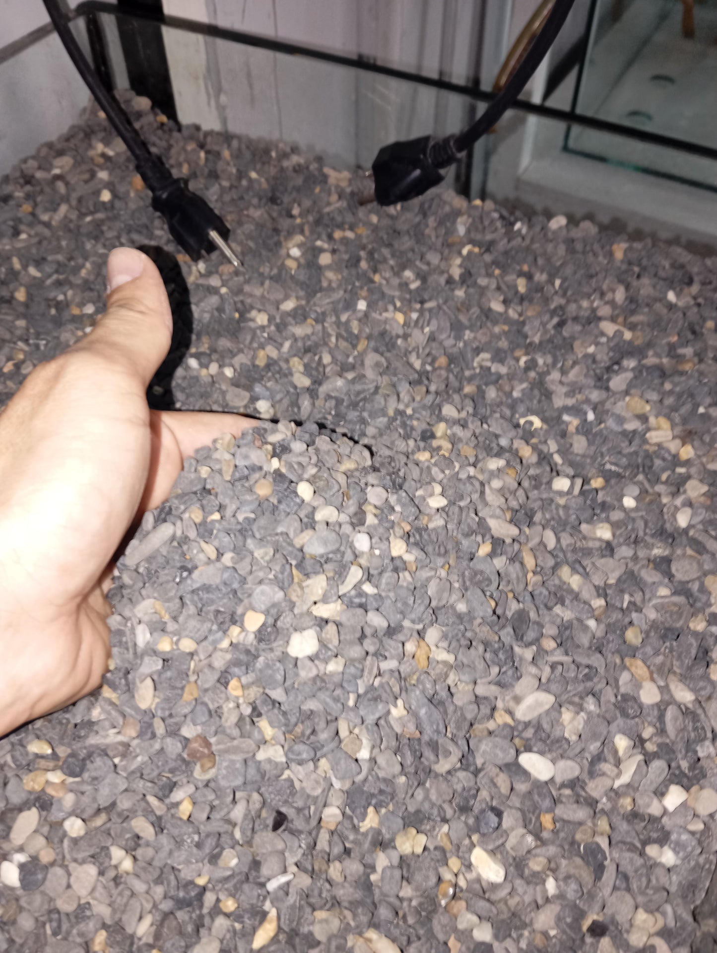 Grava Negra Natural para Acuarios 10 kg – pH Acido Estética Profesional - Discus Roa Fish