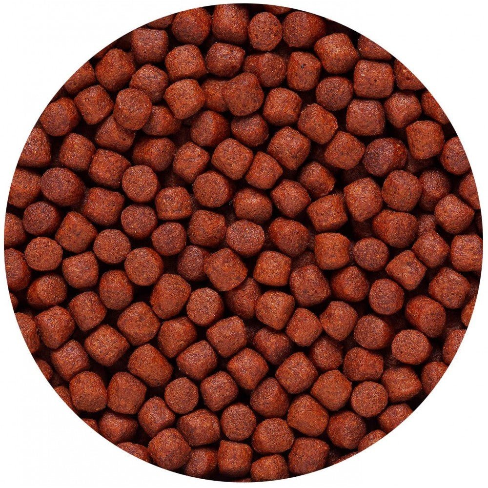 Hikari Blood - Red Parrot+® – Alimento Potenciador de Color para Cíclidos Parrot - Discus Roa Fish