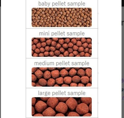 Hikari Cichlid Gold® - Alimento Premium para Cíclidos y Peces Tropicales en Colombia - Discus Roa Fish