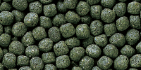Hikari Cichlid Staple™ - Alimento Premium para Cíclidos - Discus Roa Fish