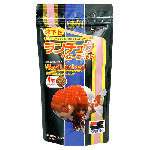 Hikari Lionhead - Discus Roa Fish