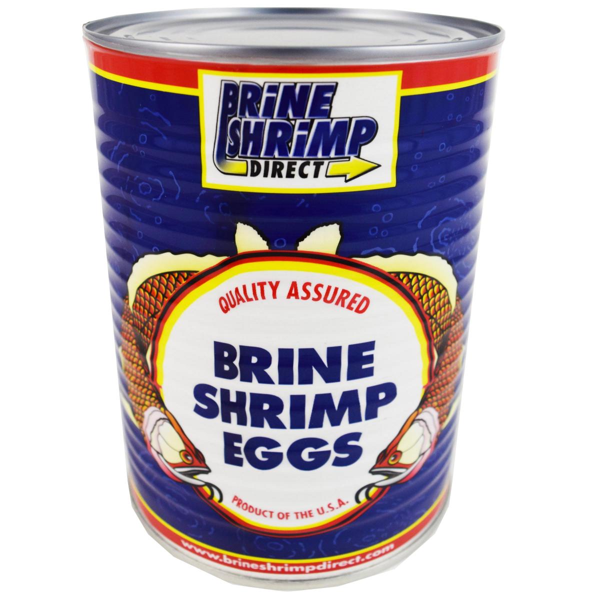 ARTEMIA BRINE SHRIMP 90% ECLOSION - Discus Roa Fish