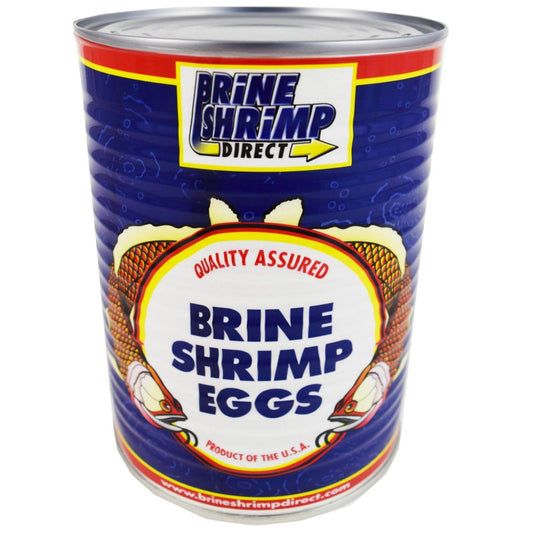 ARTEMIA BRINE SHRIMP 90% ECLOSION - Discus Roa Fish