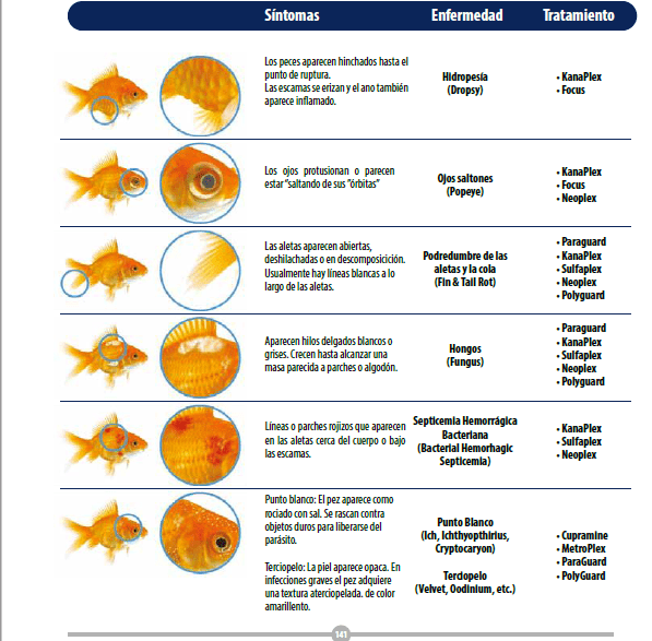 Cupramine - Discus Roa Fish