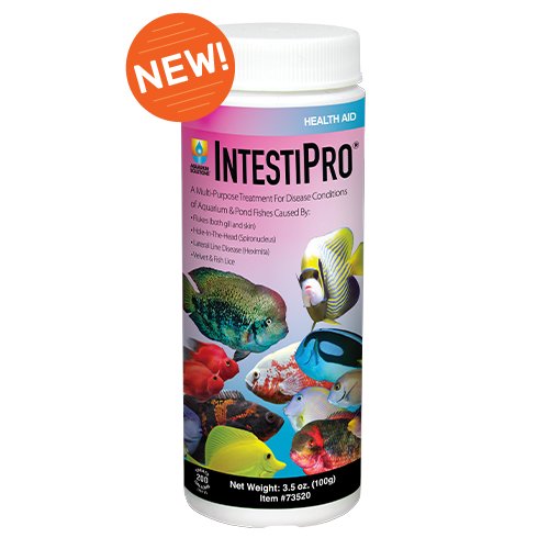 IntestiPro 100gr llega 6 dias - Discus Roa Fish