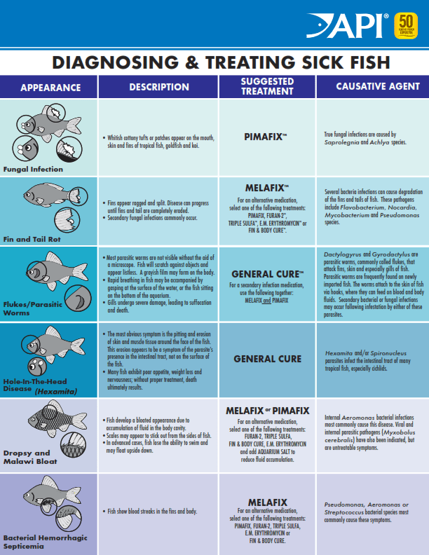 PIMAFIX - Discus Roa Fish