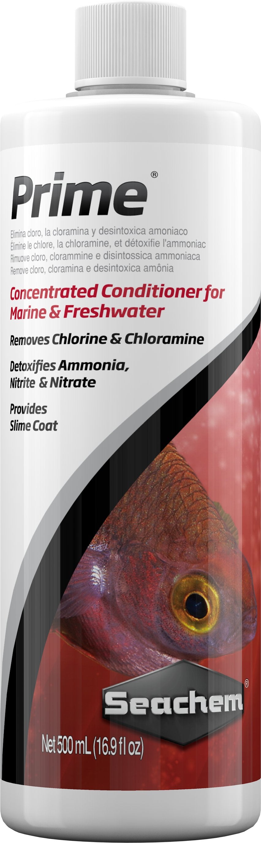 PRIME - Discus Roa Fish