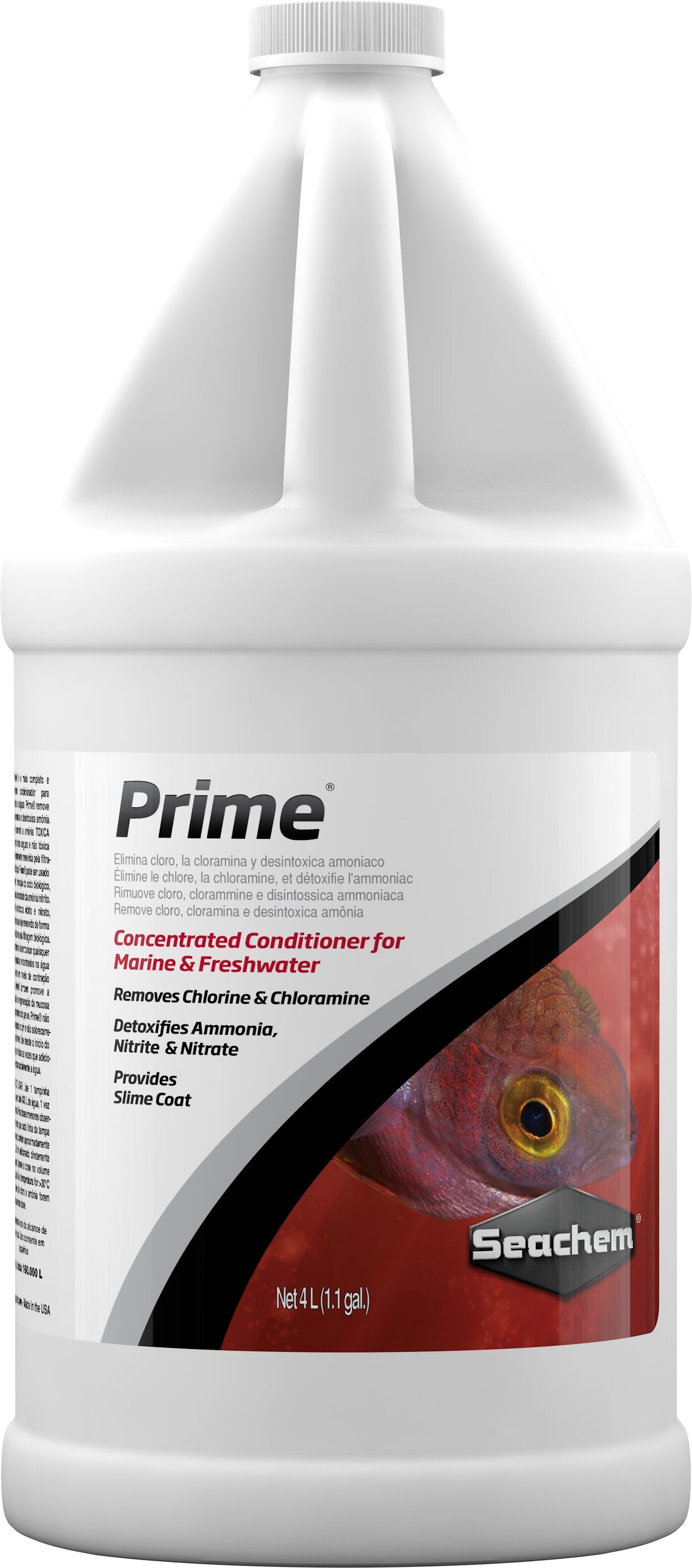 PRIME - Discus Roa Fish