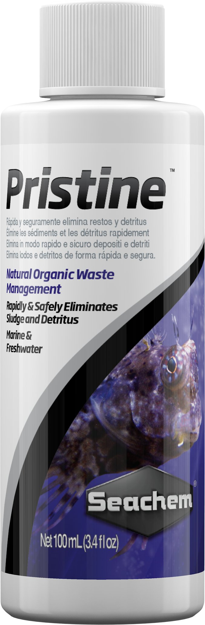 Pristine - Discus Roa Fish