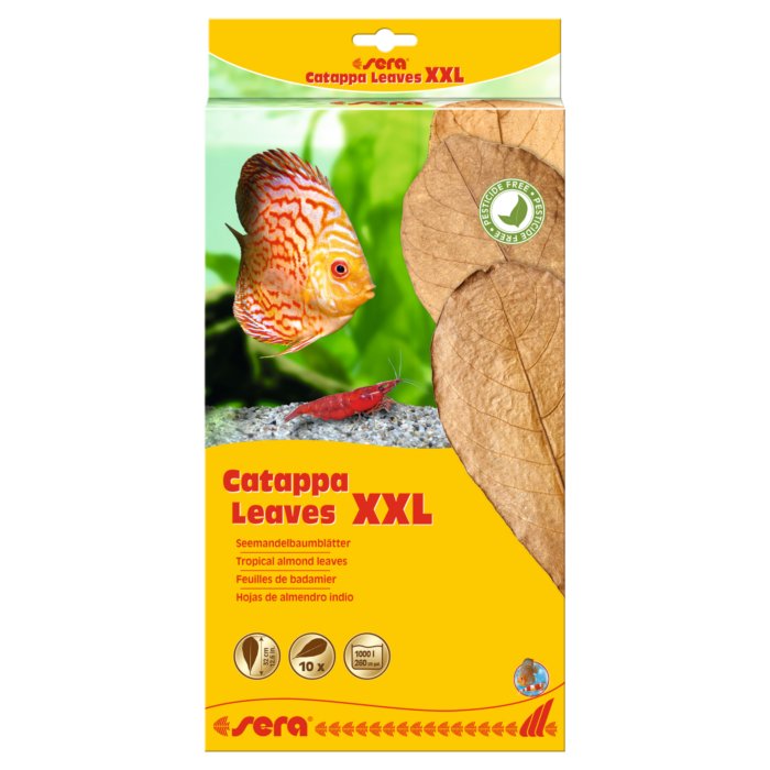 sera Catappa Leaves Hojas de Almendro - Discus Roa Fish