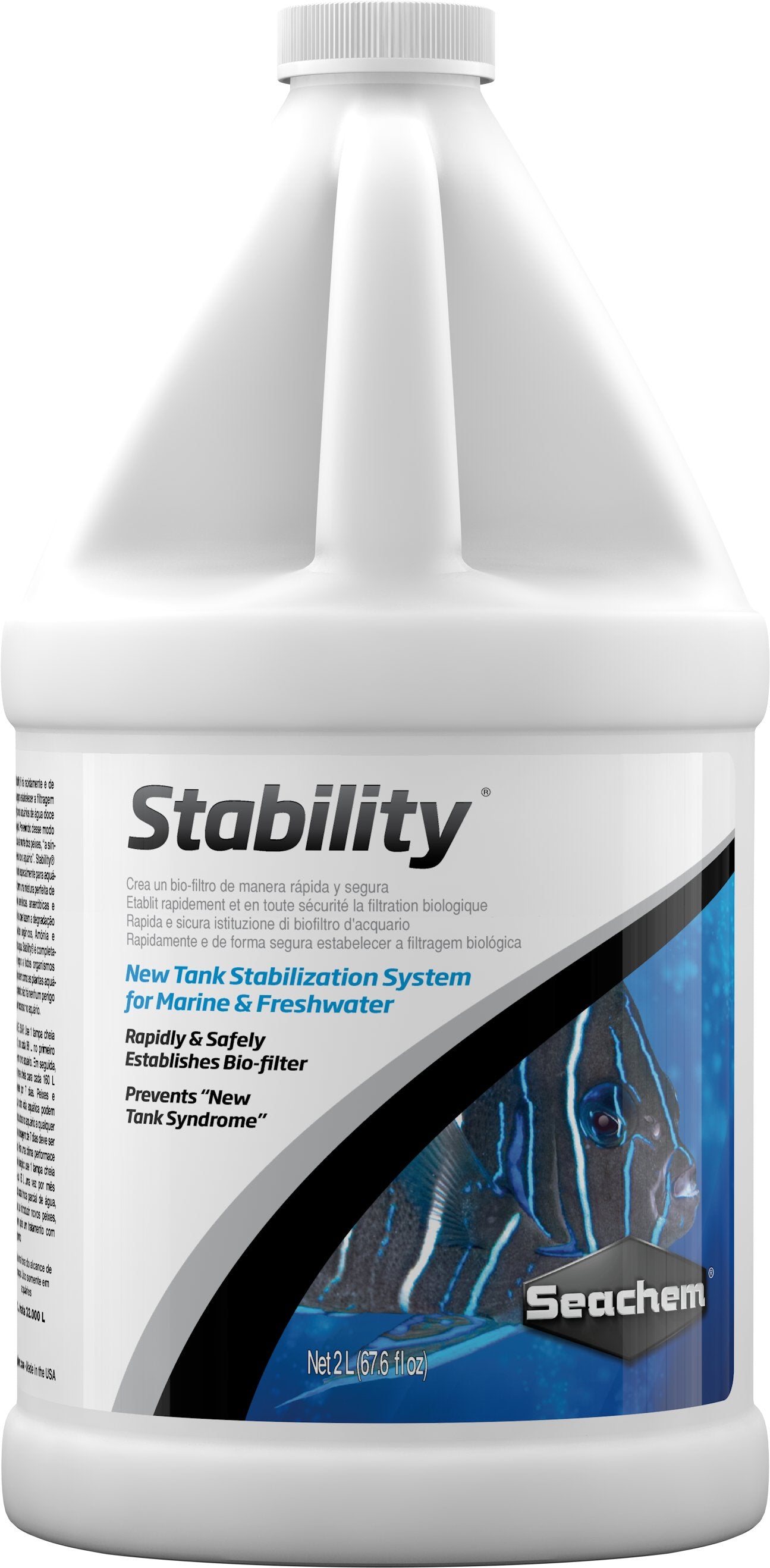 Stability - Discus Roa Fish