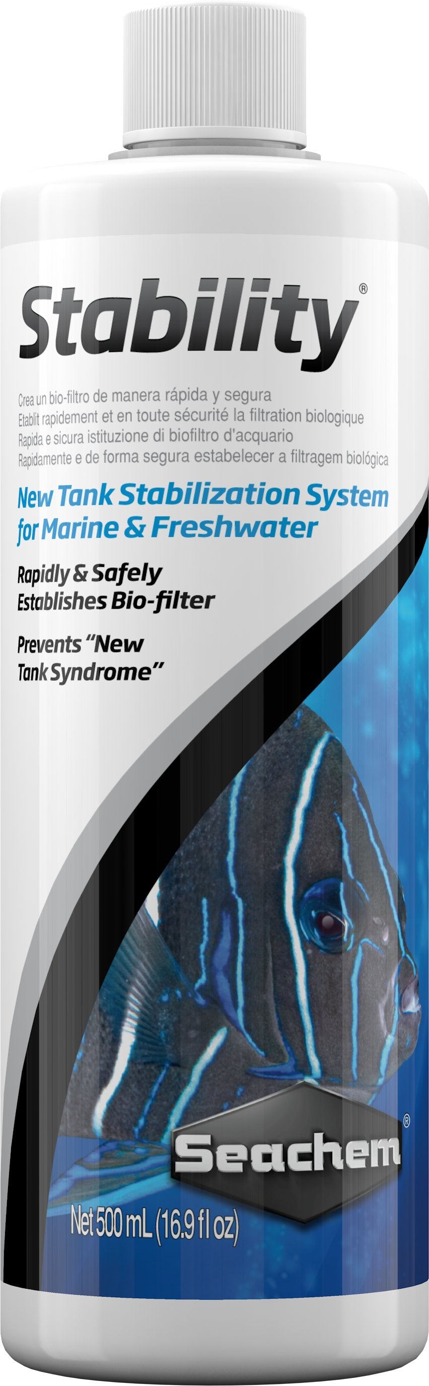 Stability - Discus Roa Fish