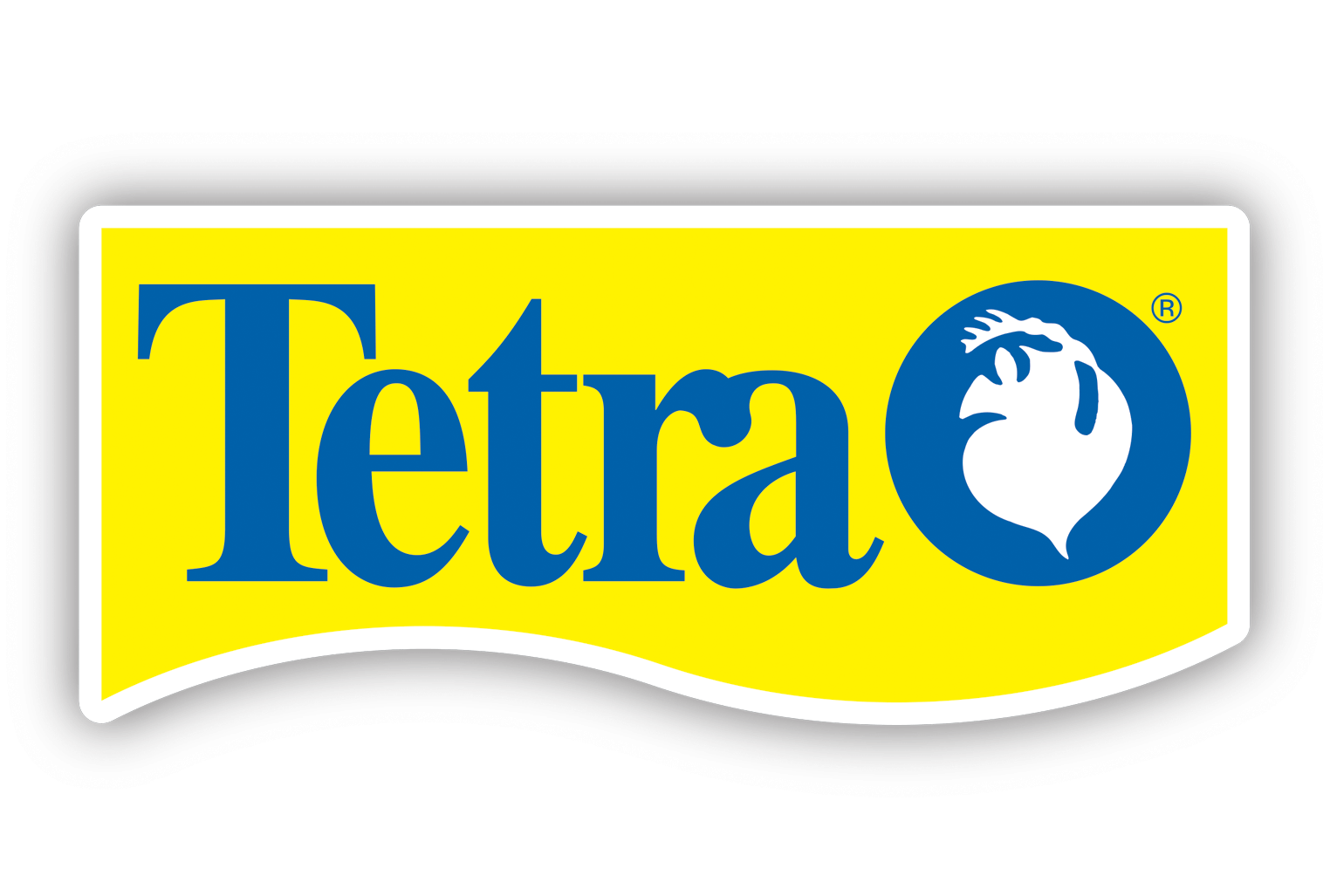Alimentos para Peces Tetra | Nutrición Especializada y Colores Vibrantes