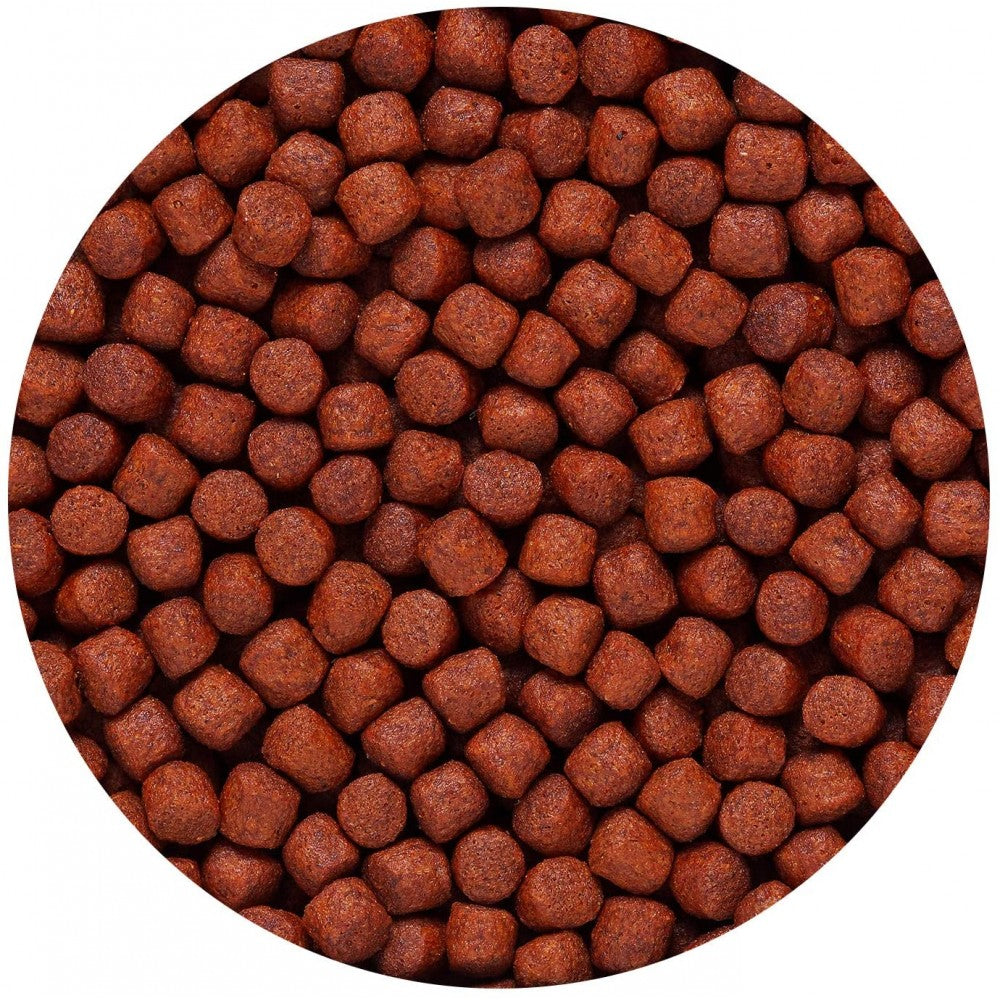 Hikari Blood-Red Parrot+® – Alimento Potenciador de Color para Cíclidos Parrot