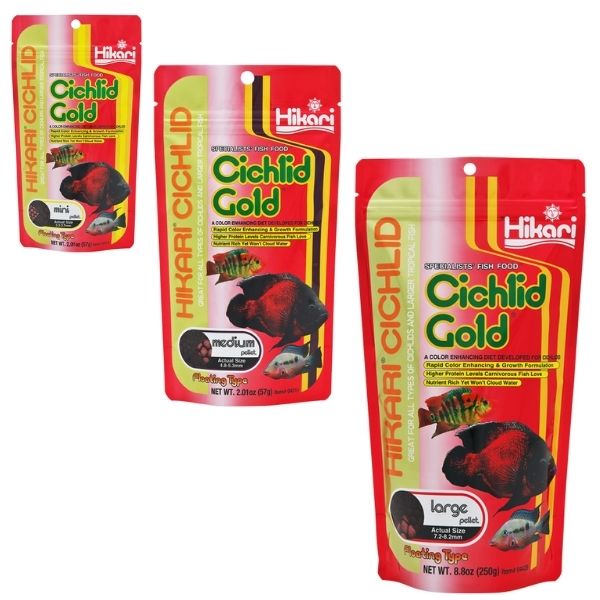 Hikari Cichlid Gold® - Alimento Premium para Cíclidos y Peces Tropicales en Colombia - Discus Roa Fish
