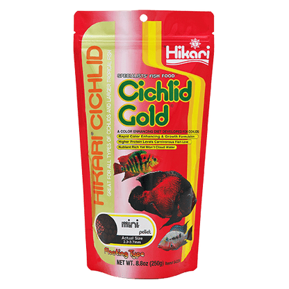 Hikari Cichlid Gold® - Alimento Premium para Cíclidos y Peces Tropicales en Colombia - Discus Roa Fish