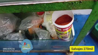 Pez Disco Salvaje Verde