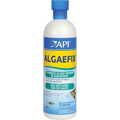 ALGAEFIX - Discus Roa Fish