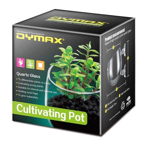 Dymax Cultivanting Pot - Discus Roa Fish