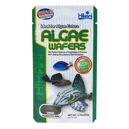 Hikari Algae Wafers 20 gr - Discus Roa Fish
