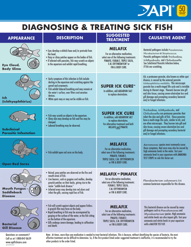 MELAFIX - Discus Roa Fish