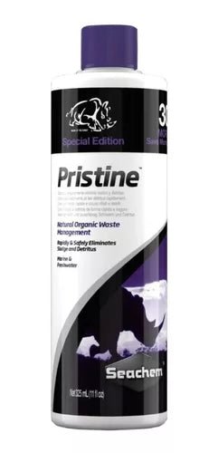 Pristine - Discus Roa Fish
