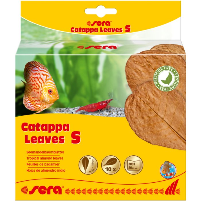 sera Catappa Leaves Hojas de Almendro - Discus Roa Fish