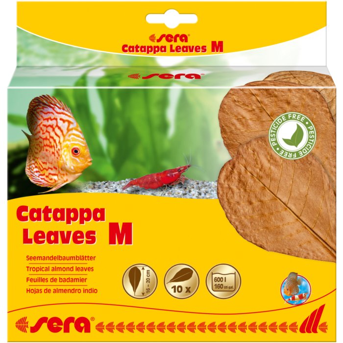 sera Catappa Leaves Hojas de Almendro - Discus Roa Fish